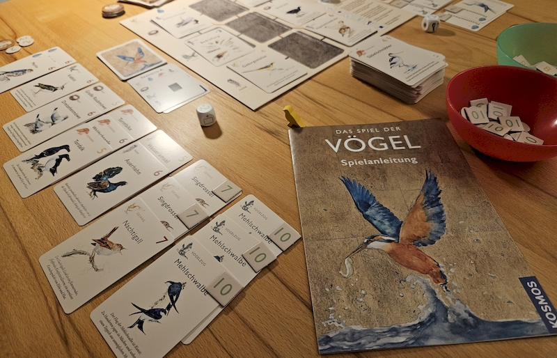 Brettspiel Spiel der Vögel, Spielsituation